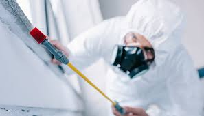 Best Commercial Pest Control  in Bayonne, NJ